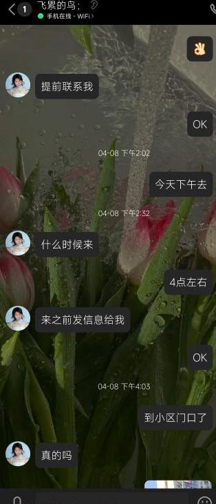 20230904031054918 20230904031054918