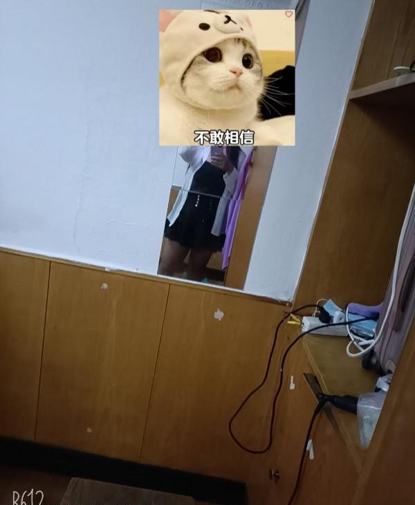 473e6eb27fdd4d2 473e6eb27fdd4d2