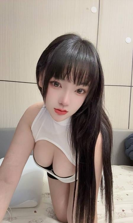 普陀小野猫