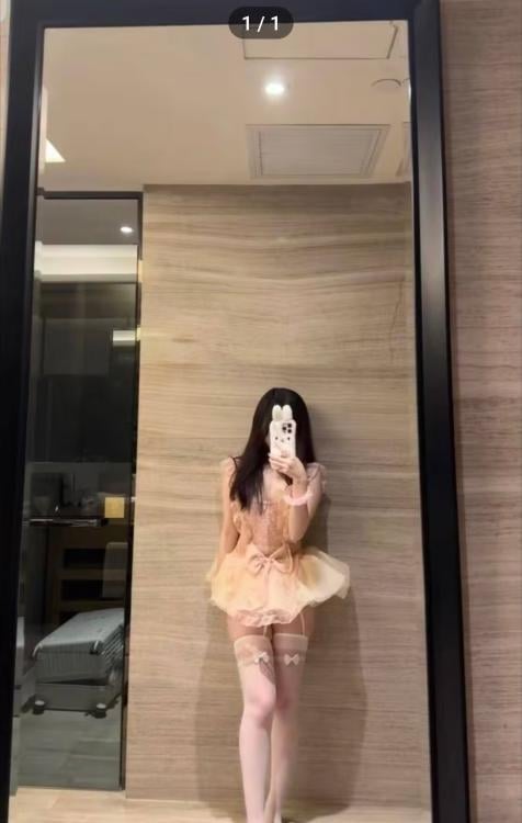 千羽宝贝回归
