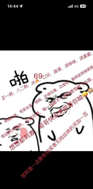 新区香香