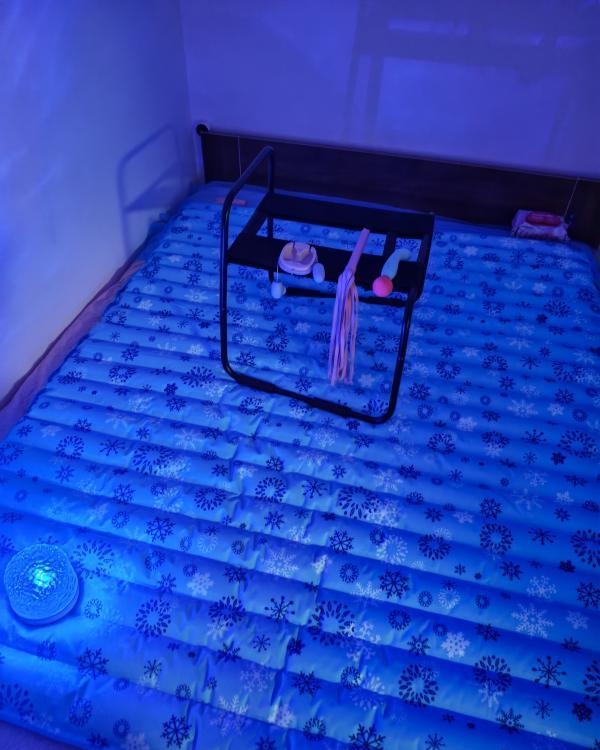 水床翘臀小刺猬