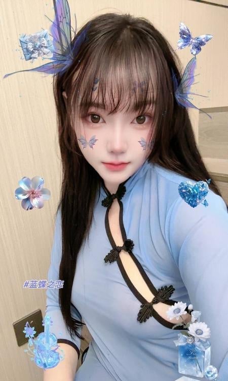 普陀小野猫