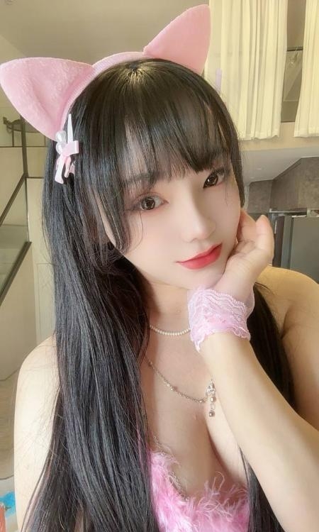 普陀小野猫