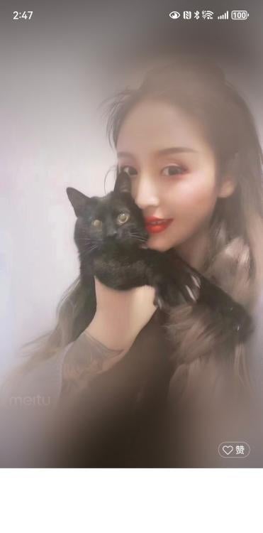 渝中长腿麦子