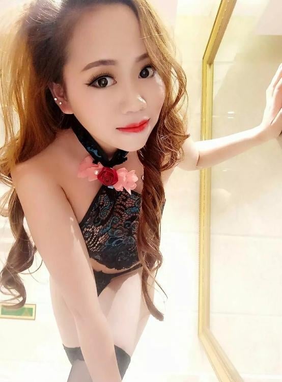 吴中区樱桃服务系
